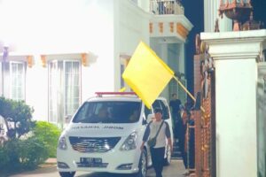 WhatsApp Image 2024-12-02 at 10.55.44 WhatsApp Image 2024-12-02 at 10.55.44