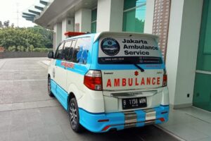 WhatsApp Image 2024-12-02 at 10.55.52 WhatsApp Image 2024-12-02 at 10.55.52