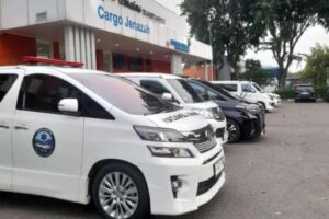 WhatsApp Image 2024-12-02 at 10.55.55 WhatsApp Image 2024-12-02 at 10.55.55