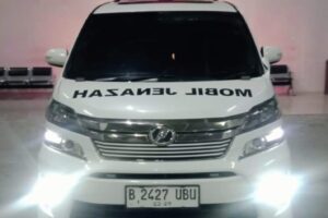 WhatsApp Image 2024-12-02 at 10.55.59 (1) WhatsApp Image 2024-12-02 at 10.55.59 (1)